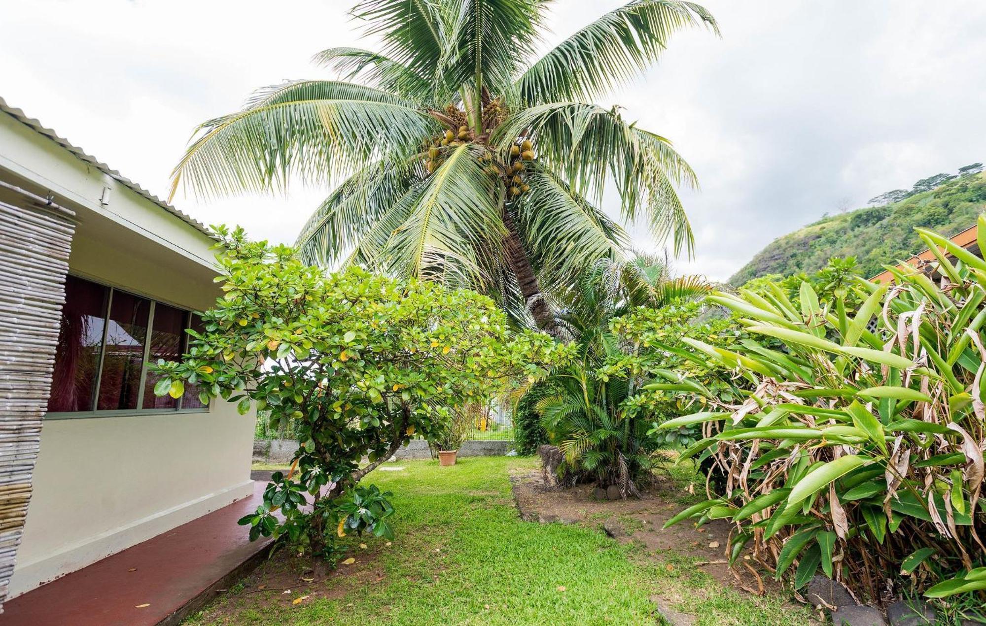 Pension Te Miti - Plage-Beach 200M - Mahana Parc & Vaiava Beach Pk18 - B&B Chambres Ou Dortoir Пунаауйя Экстерьер фото